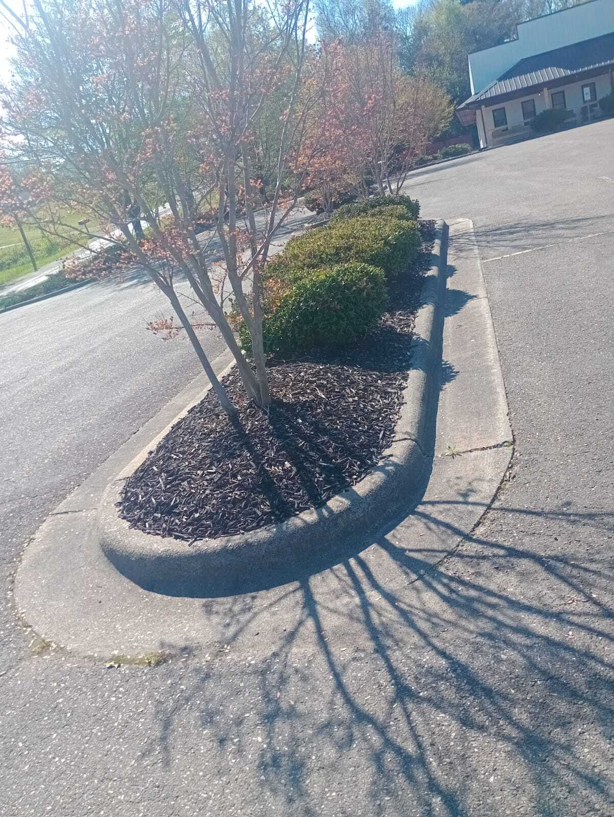 Alvarado Landscaping Image